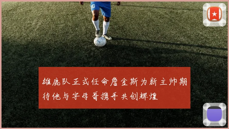 雄鹿队正式任命詹金斯为新主帅期待他与字母哥携手共创辉煌