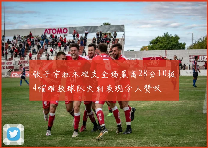 张子宇独木难支全场最高28分10板4帽难救球队失利表现令人赞叹